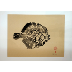 Gyotaku - " Turbot "