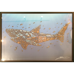 Yoann Goas - expo - Requin