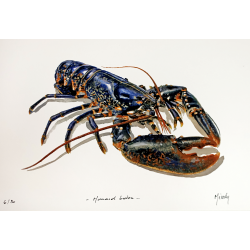 Homard Breton - Tirage d'Art