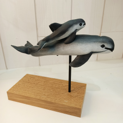 Plage des Baleines - L'Unique Vakita - droite