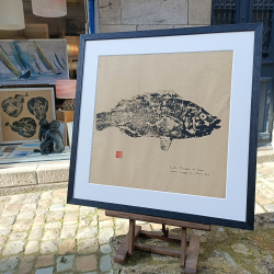 Ilona Stephani - Vieille - C25 - rue