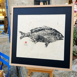 Ilona Stephani - Dorade Royale - A14 - rue