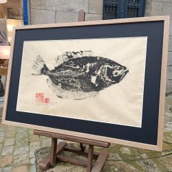 Ilona Stephani - Limande B1 - rue