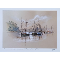 JM Misslen - Vieux gréements devant l'Ile Tristan à Douarnenez Tréboul