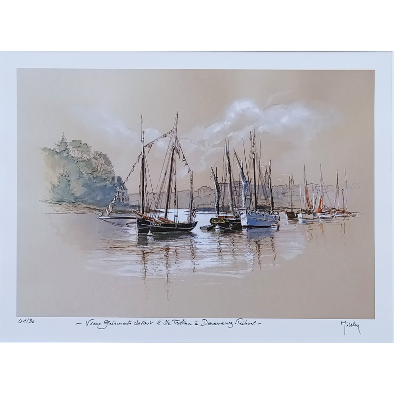 JM Misslen - Vieux gréements devant l'Ile Tristan à Douarnenez Tréboul