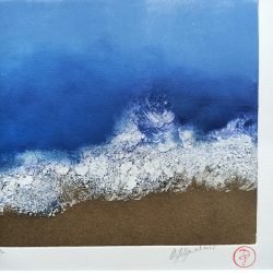 Audrey Hemery - Vue d'une mouette - détails Audrey Hemery - Vue d'une mouette - détails