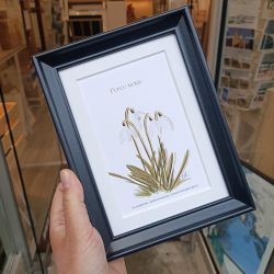 Le Petit Atelier d'Esti - Perce-Neige