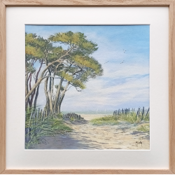 JM Misslen - Les Pins -