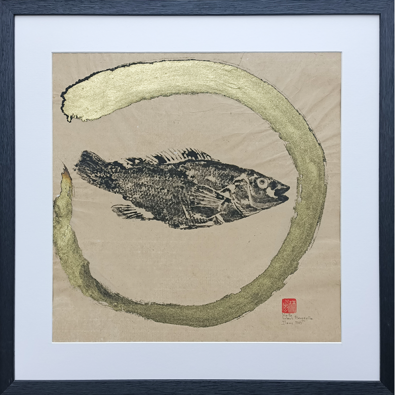 Gyotaku - Vieille - C47