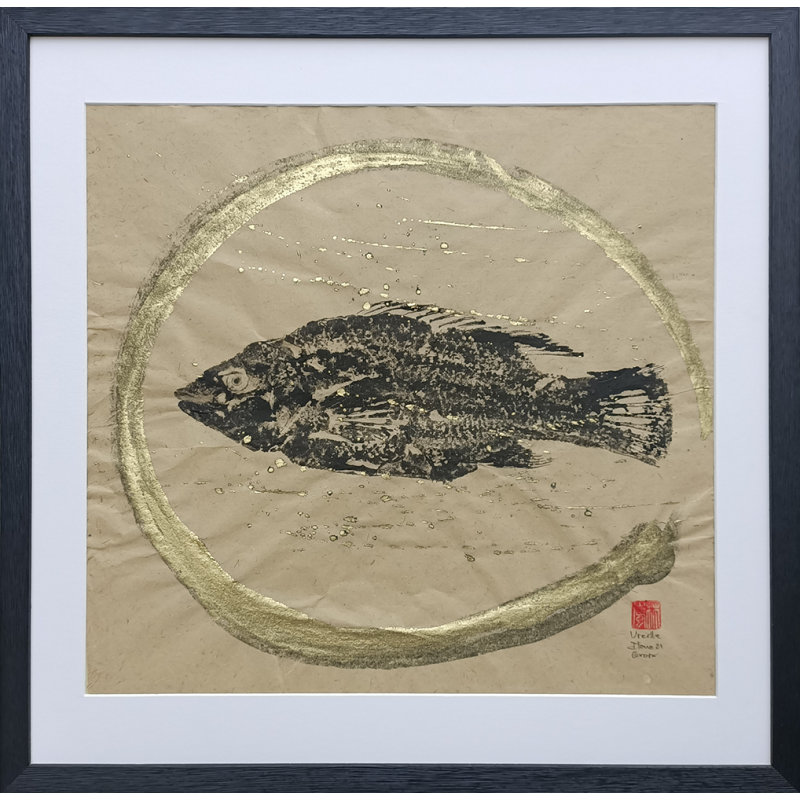 Gyotaku - Vieille - C38