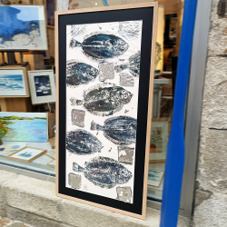 Ilona Stephani - Frise de Limande Bleue et argent - encadré