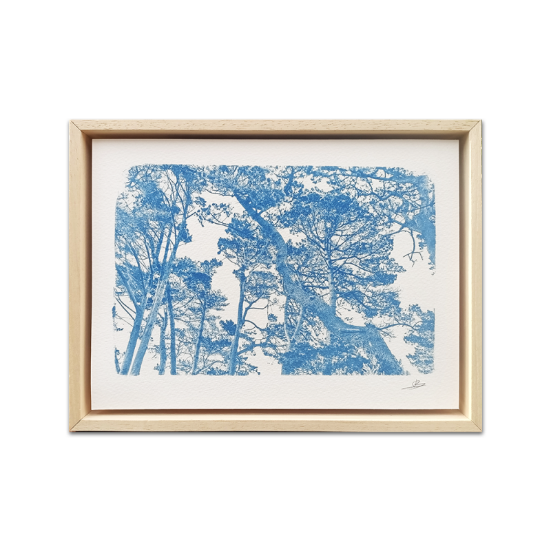 Benoit Dufour - Cime