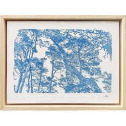 Benoit Dufour - Cime