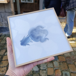 CL Sumie - Poisson rouge I - encadré