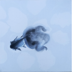 CL Sumie - Poisson rouge I