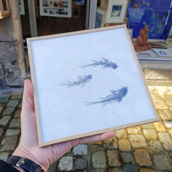 CL Sumie - Koi III - encadré