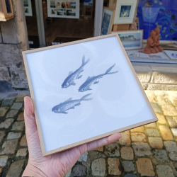 CL Sumie - Trois Petits Poissons