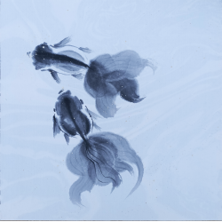 CL Sumie - Poisson Rouge II