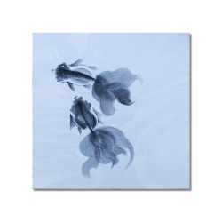 CL Sumie - Poisson Rouge II