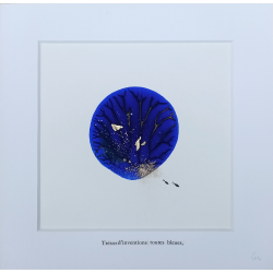 EVE - Trésor d'inventions toutes bleues