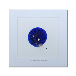 EVE - Trésor d'inventions toutes bleues