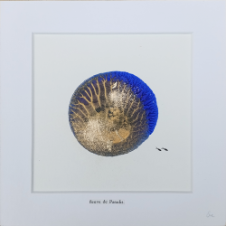 EVE - fleuve de Paradis