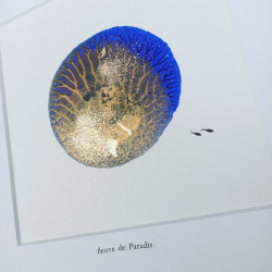 EVE - fleuve de Paradis - détails