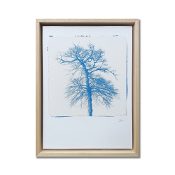 Benoit Dufour - Racines