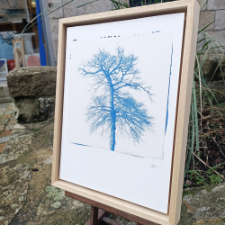 Benoit Dufour - Racines - encadré