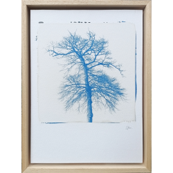 Benoit Dufour - Racines