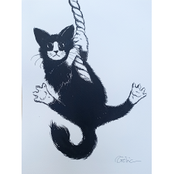 Philippe Géric - Le Chat Ficelle