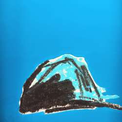 Audrey Hemery - Roche en pleine mer - détails