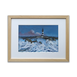 Markolero - Ouessant et le Phare du Creach 3