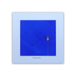 EVE - Le plus grand calme