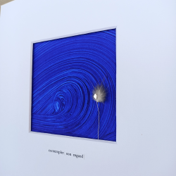 EVE - Contempler son regard - détails