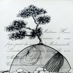 Sophie Jamelot - La terre du sacre - détails