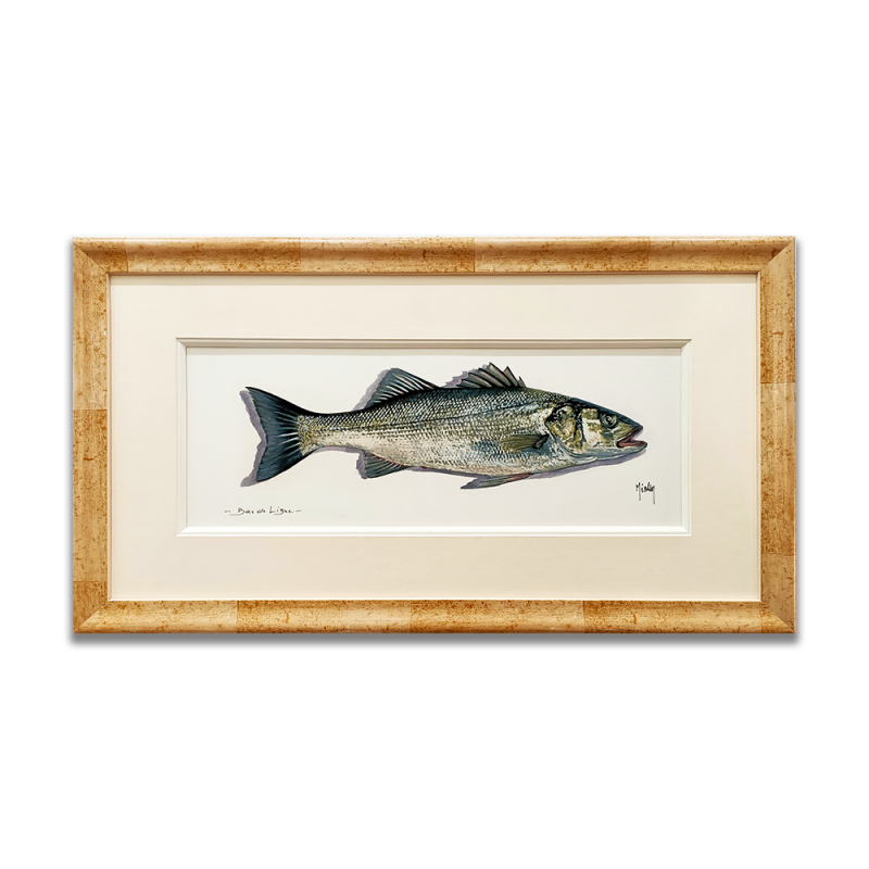 Aquarelle - Bar de ligne
