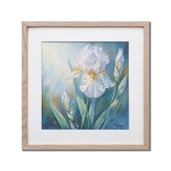 JM Misslen - Iris
