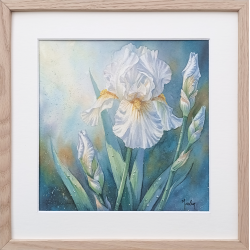 JM Misslen - Iris
