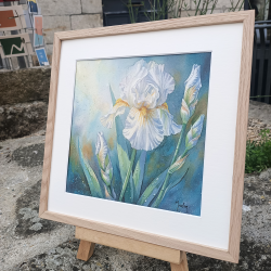 JM Misslen - Iris - encadrement