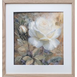JM Misslen - Rose Blanche