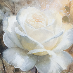 JM Misslen - Rose Blanche - détails