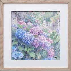 JM Misslen - Hortensias, Campagne Bretonne