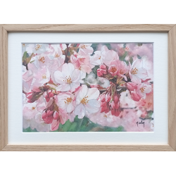 JM Misslen - Fleurs de Cerisiers