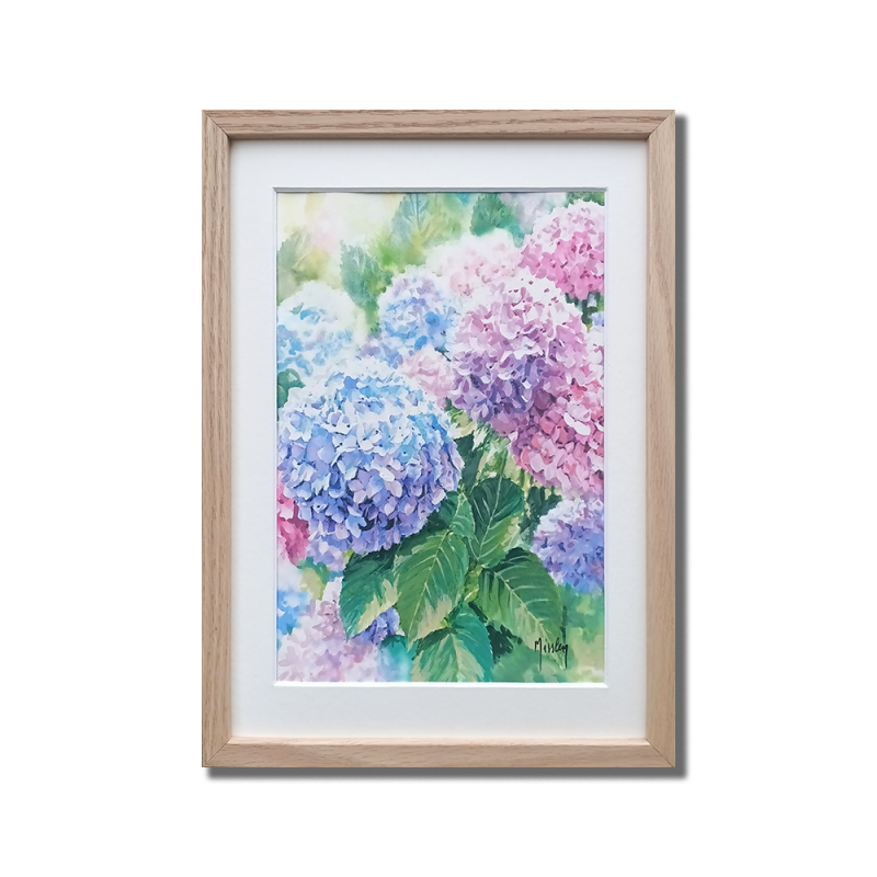 JM Misslen - Hortensias
