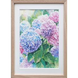 JM Misslen - Hortensias