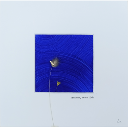 EVE - Musique, Amour, Joie