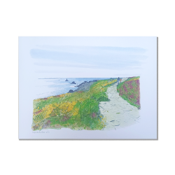 Anne-Sophie Cottrais - La Pointe du Raz