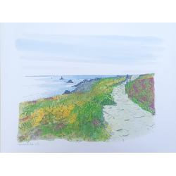 Anne-Sophie Cottrais - La Pointe du Raz