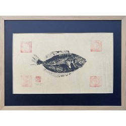 Gyotaku " Limande "